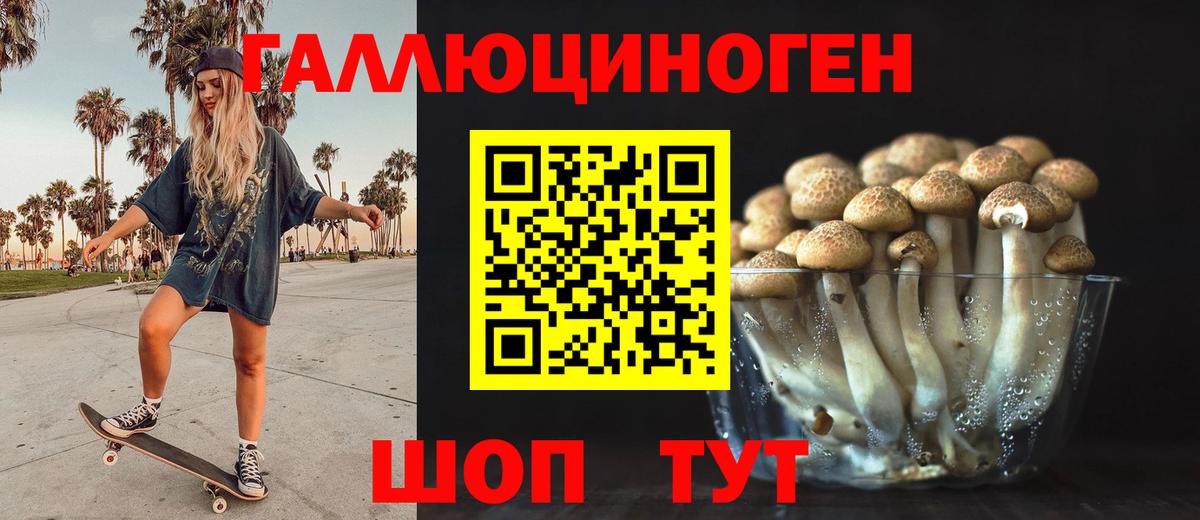 где купить наркоту  Псилоцибиновые грибы мухоморы  Новороссийск  Вход с VPN  Галлюциногенные грибы Psilocybine cubensis 